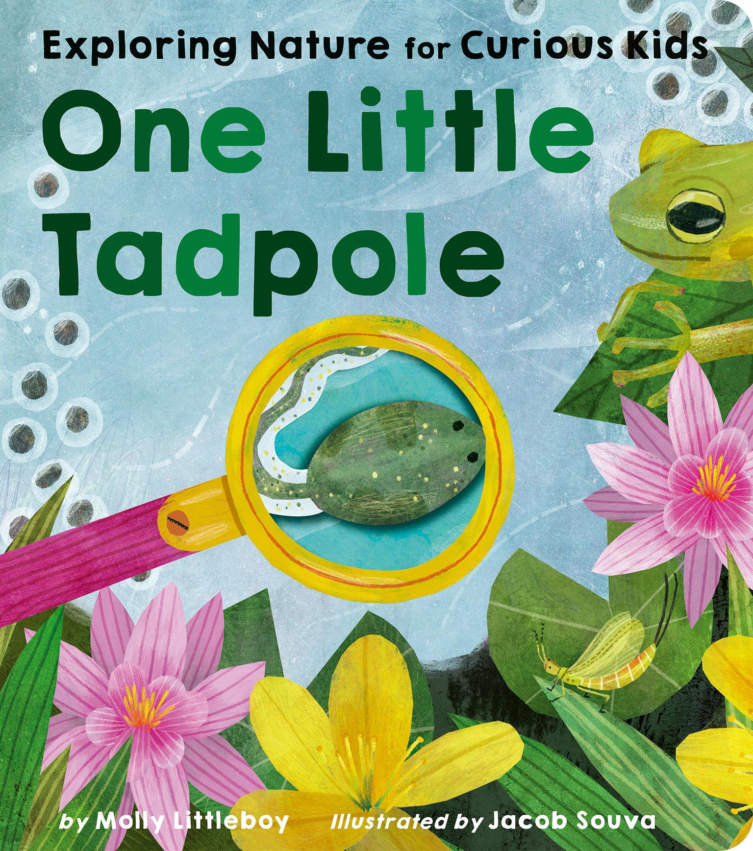 Vorderes Coverbild One Little Tadpole