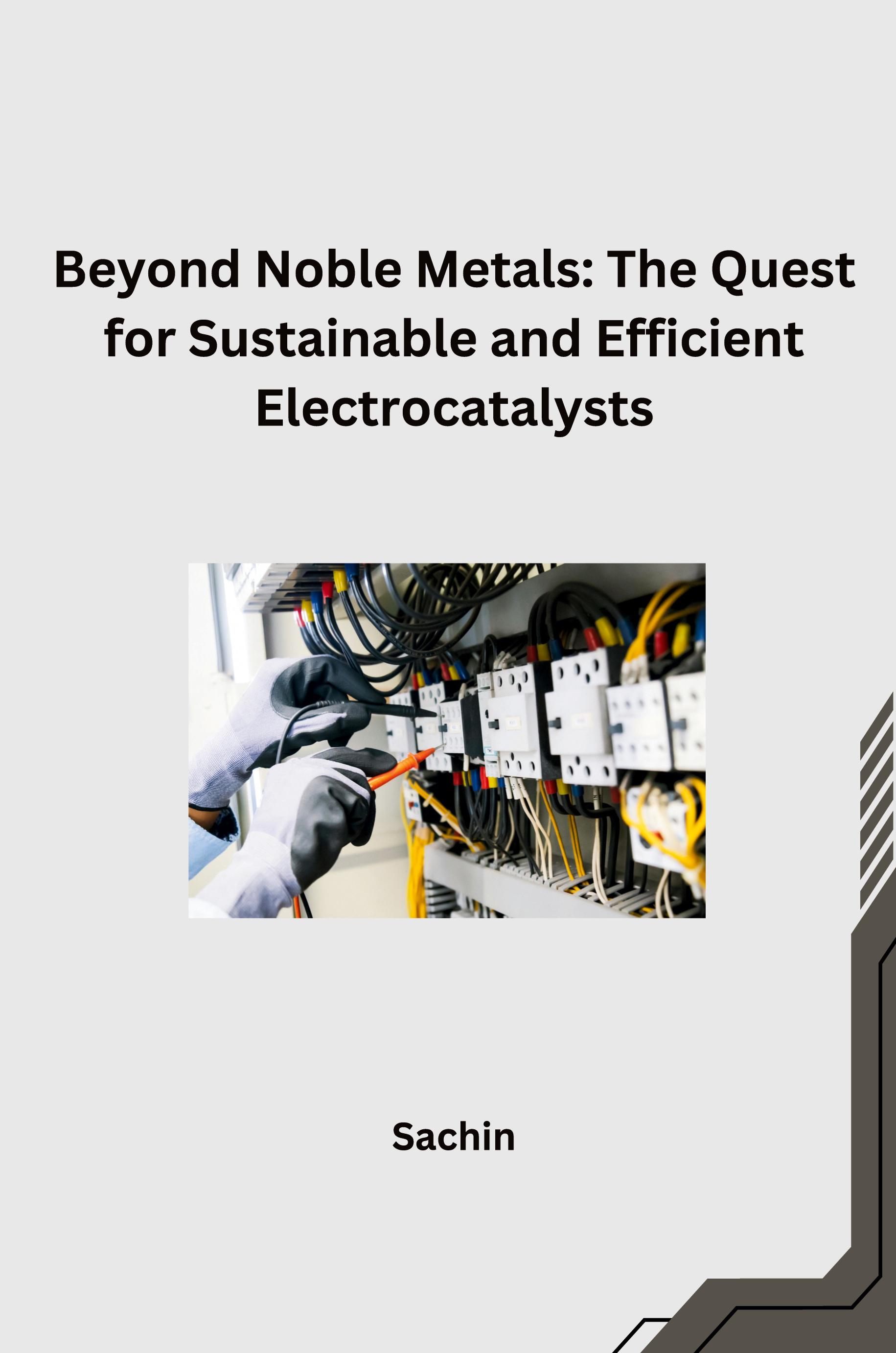 Vorderes Coverbild Beyond Noble Metals: The Quest for Sustainable and Efficient Electrocatalysts