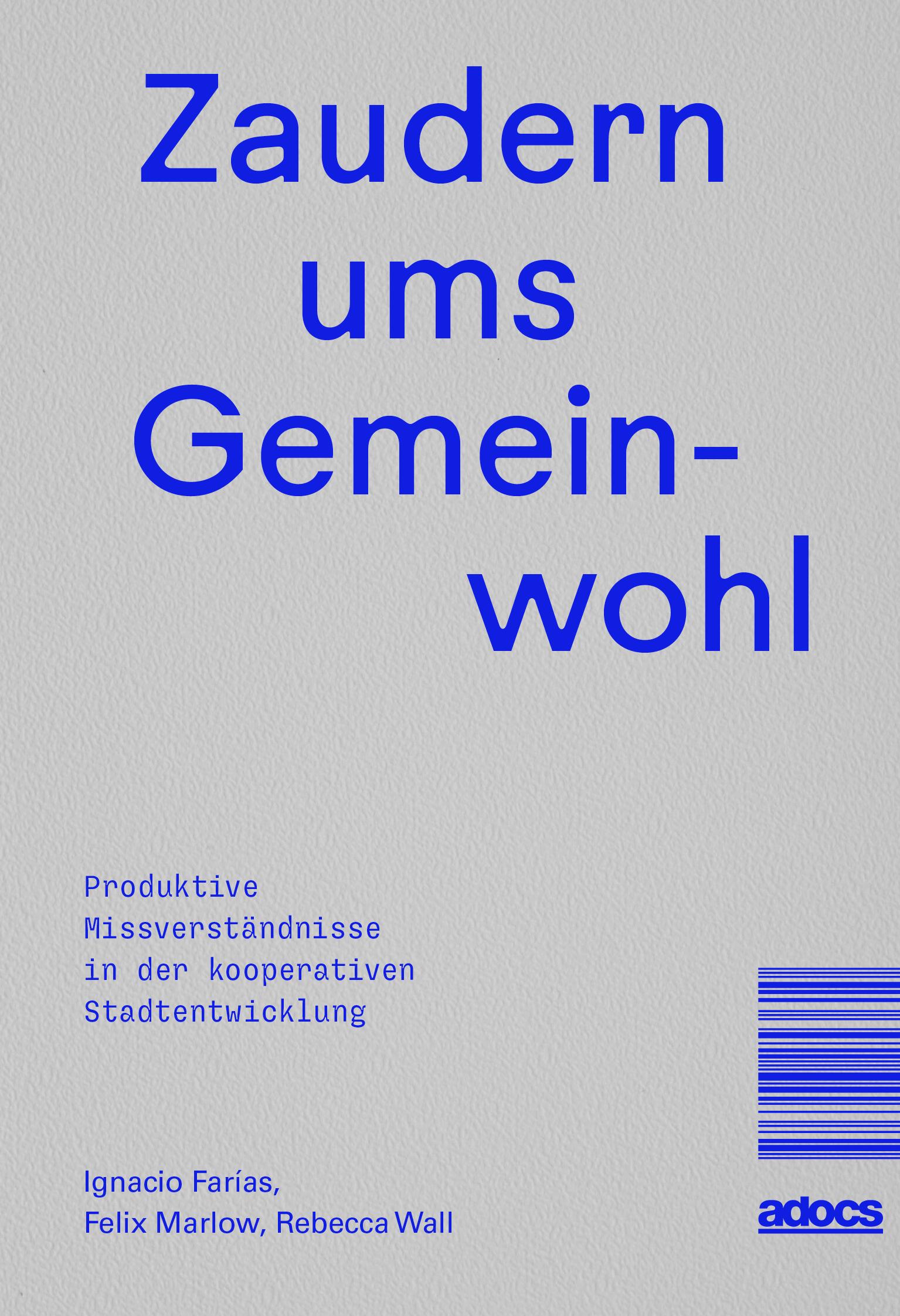 Vorderes Coverbild Zaudern ums Gemeinwohl