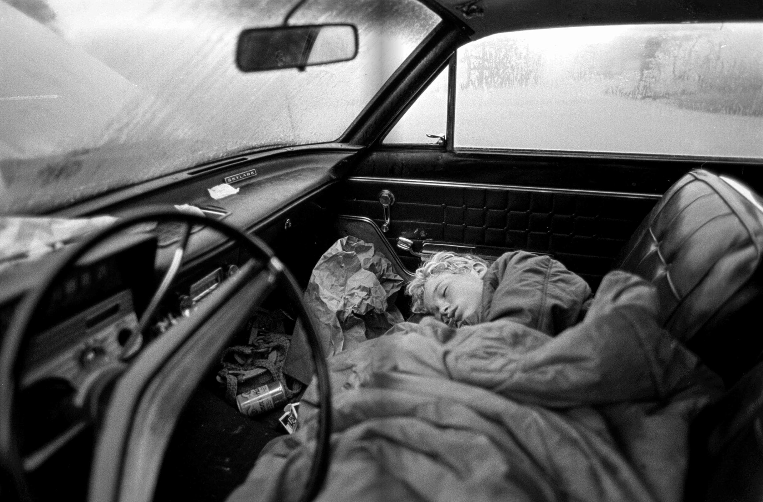 Beispielinhalt (Bild) Stephen Shames