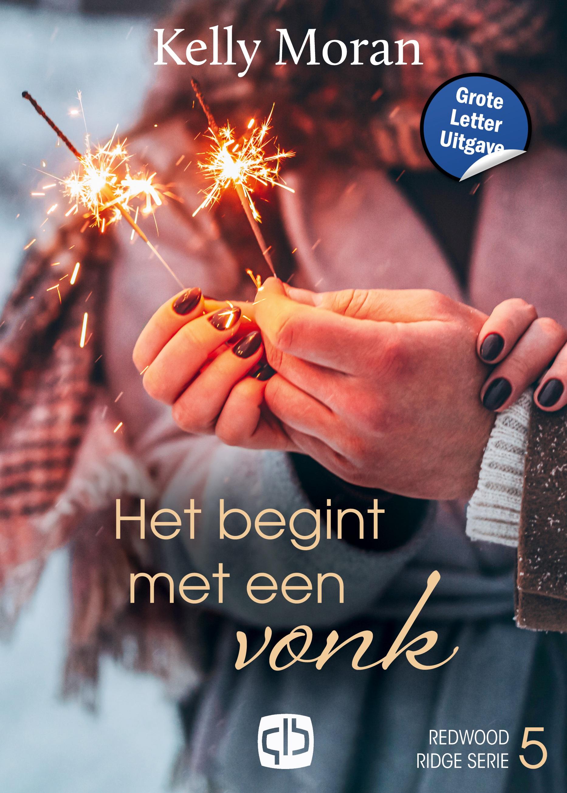 Vorderes Coverbild Het begint met een vonk