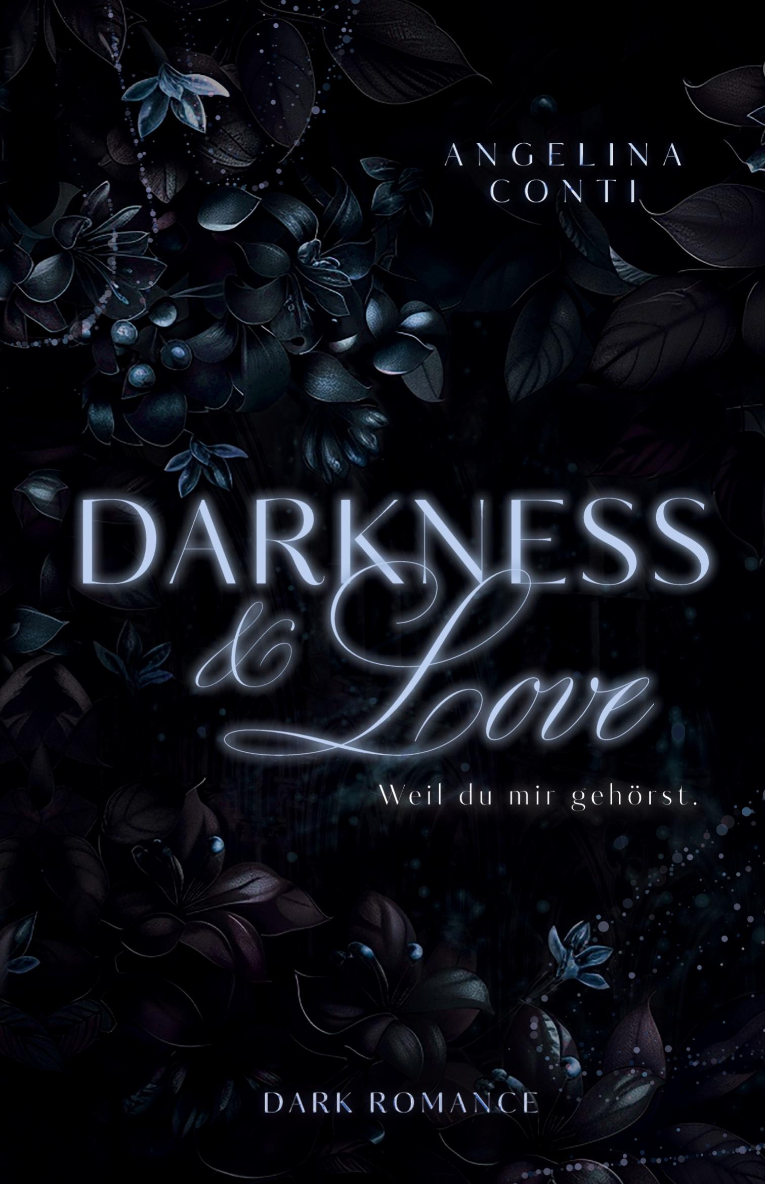 Vorderes Coverbild DARKNESS & LOVE (Dark Romance)