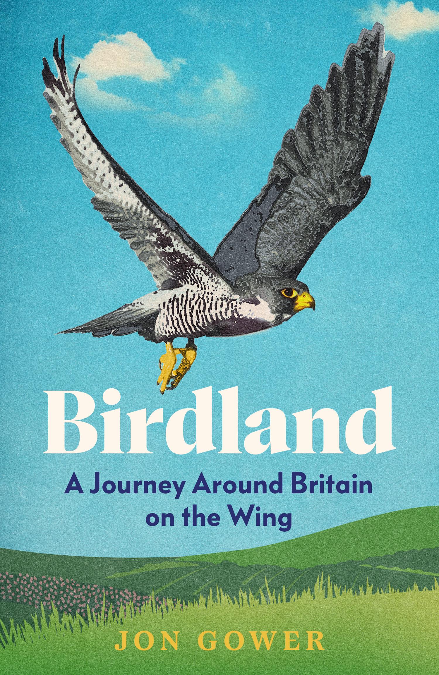 Vorderes Coverbild Birdland