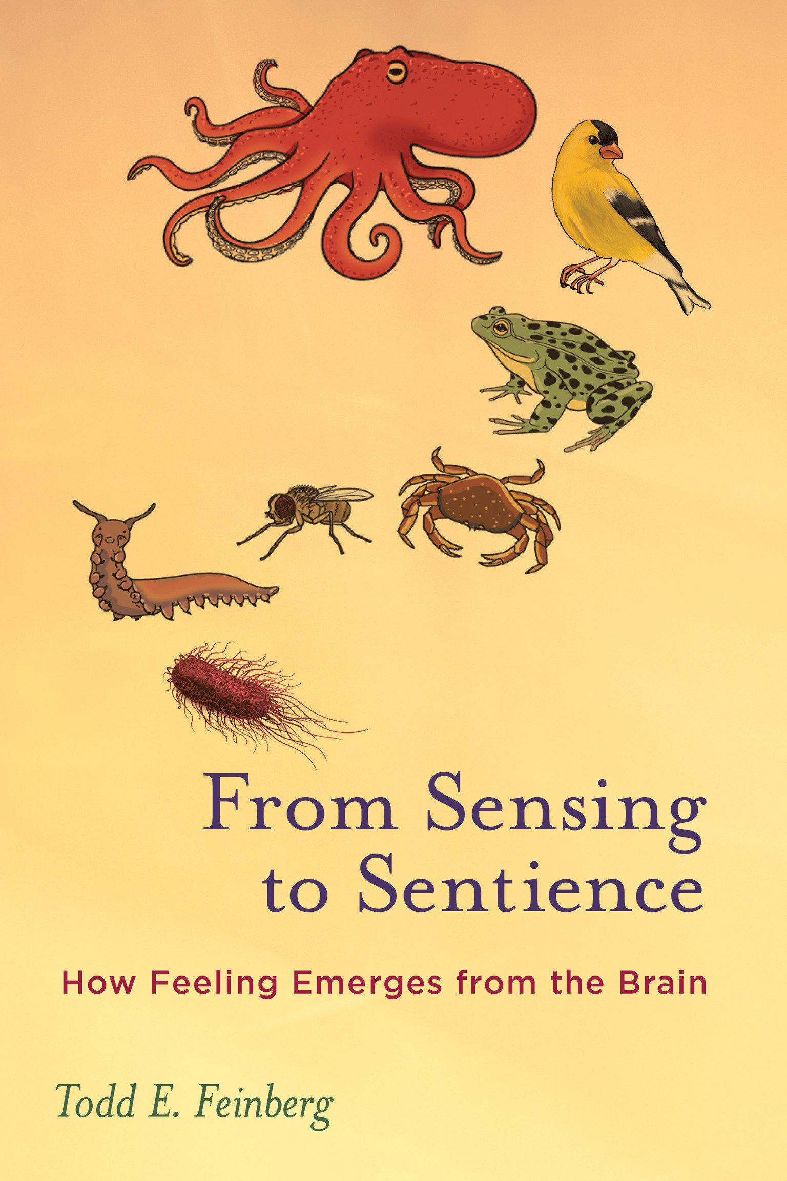 Vorderes Coverbild From Sensing to Sentience