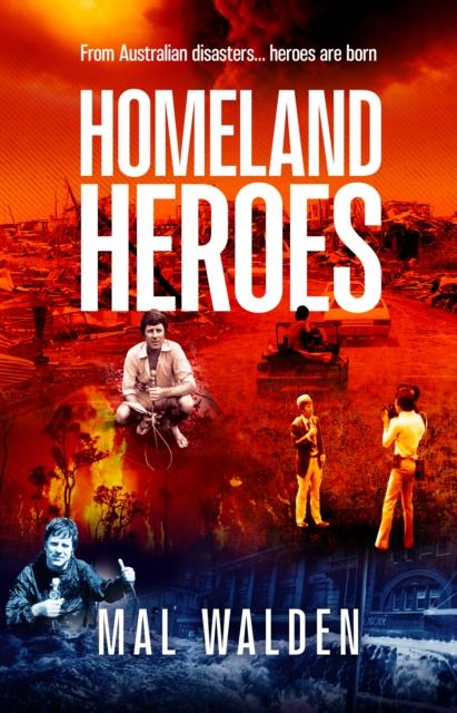 Vorderes Coverbild Homeland Heroes