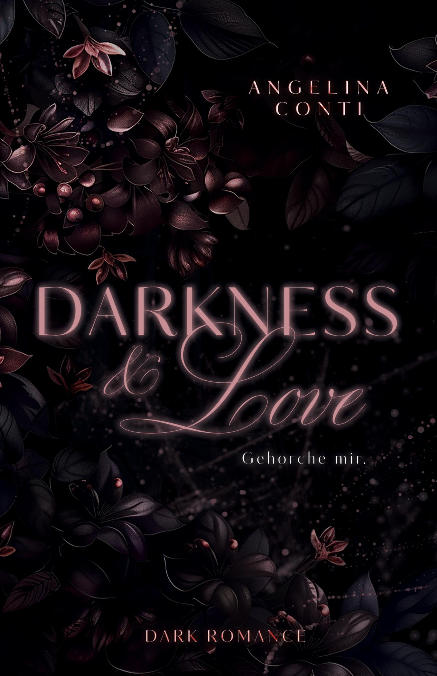 Vorderes Coverbild DARKNESS & LOVE BAND 2 (Dark Romance)