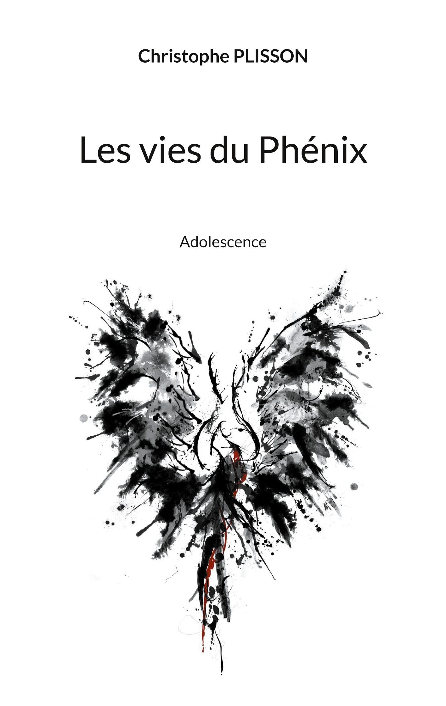 Vorderes Coverbild Les vies du Phénix