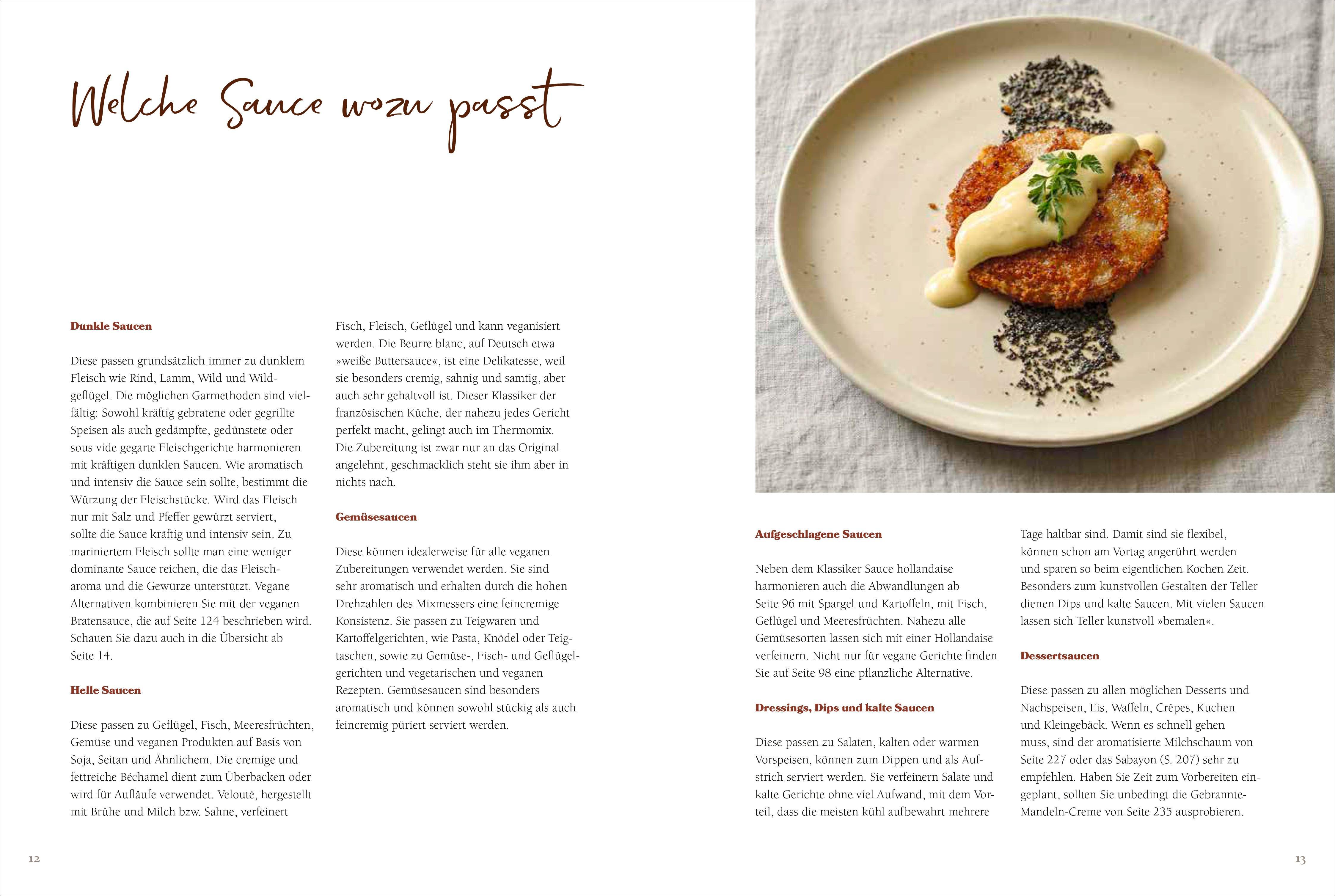 Beispielinhalt (Bild) Feine Saucen aus dem Thermomix