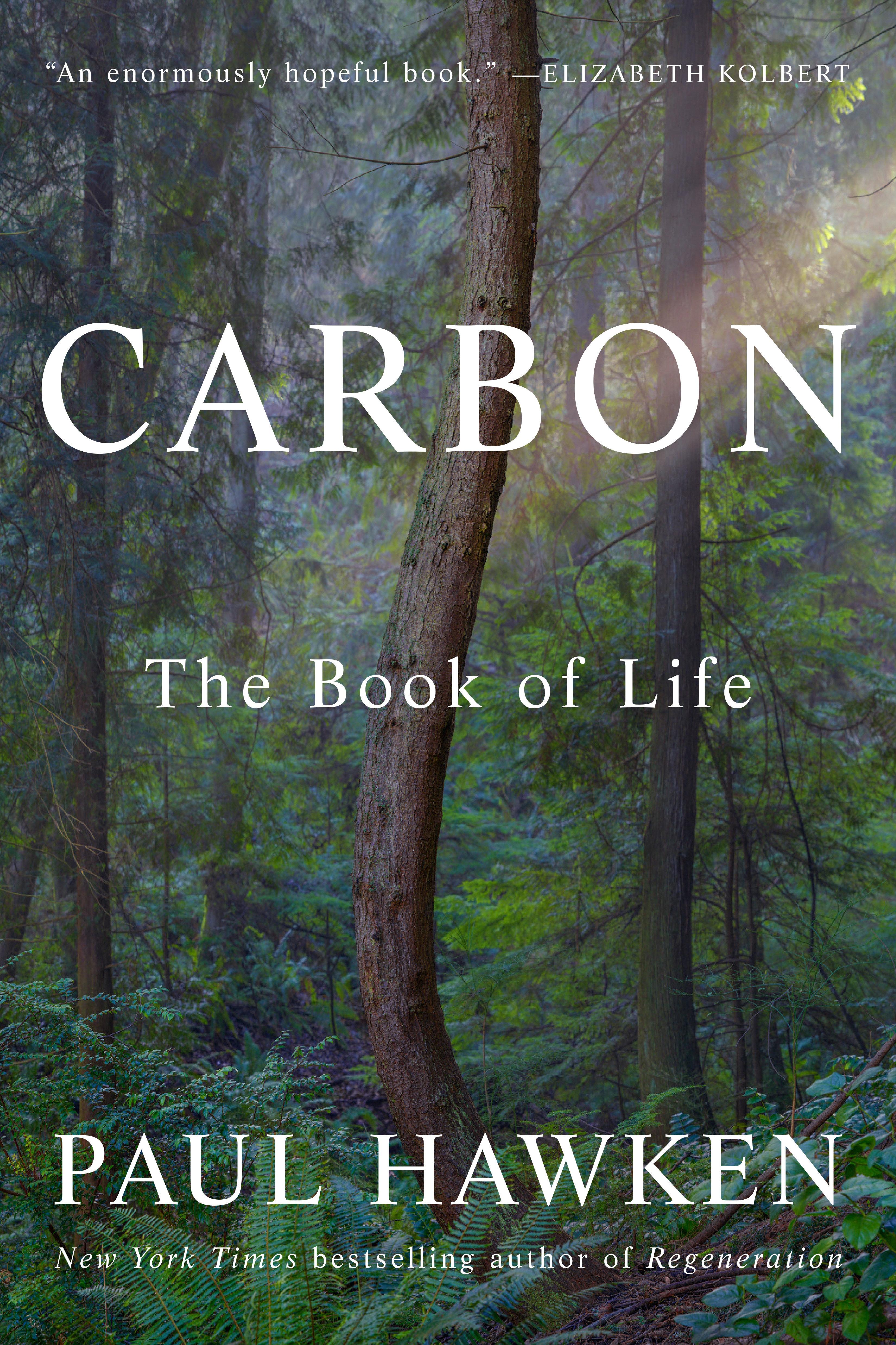 Vorderes Coverbild Carbon