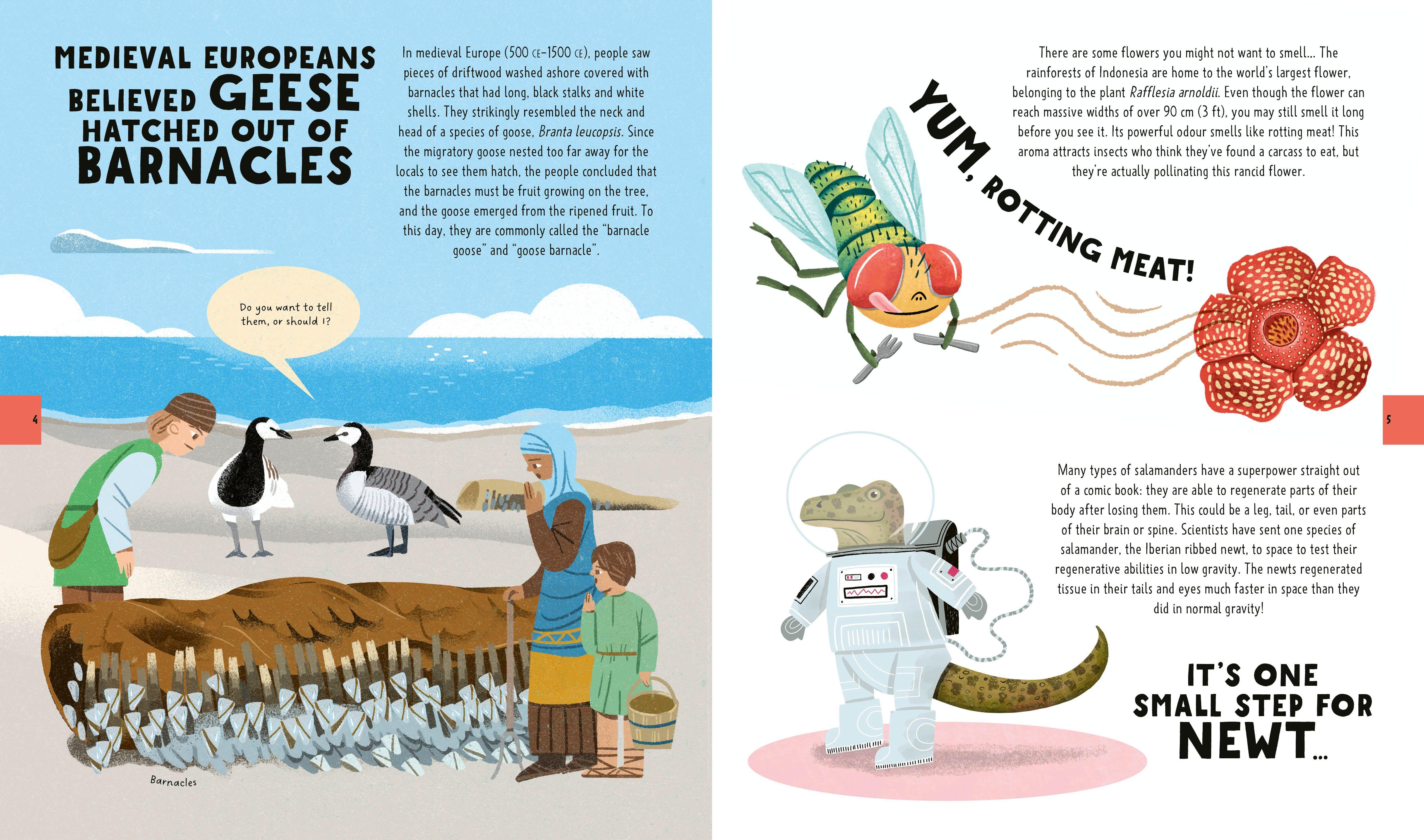 Beispielinhalt (Bild) The Big Book of Useless Science Knowledge