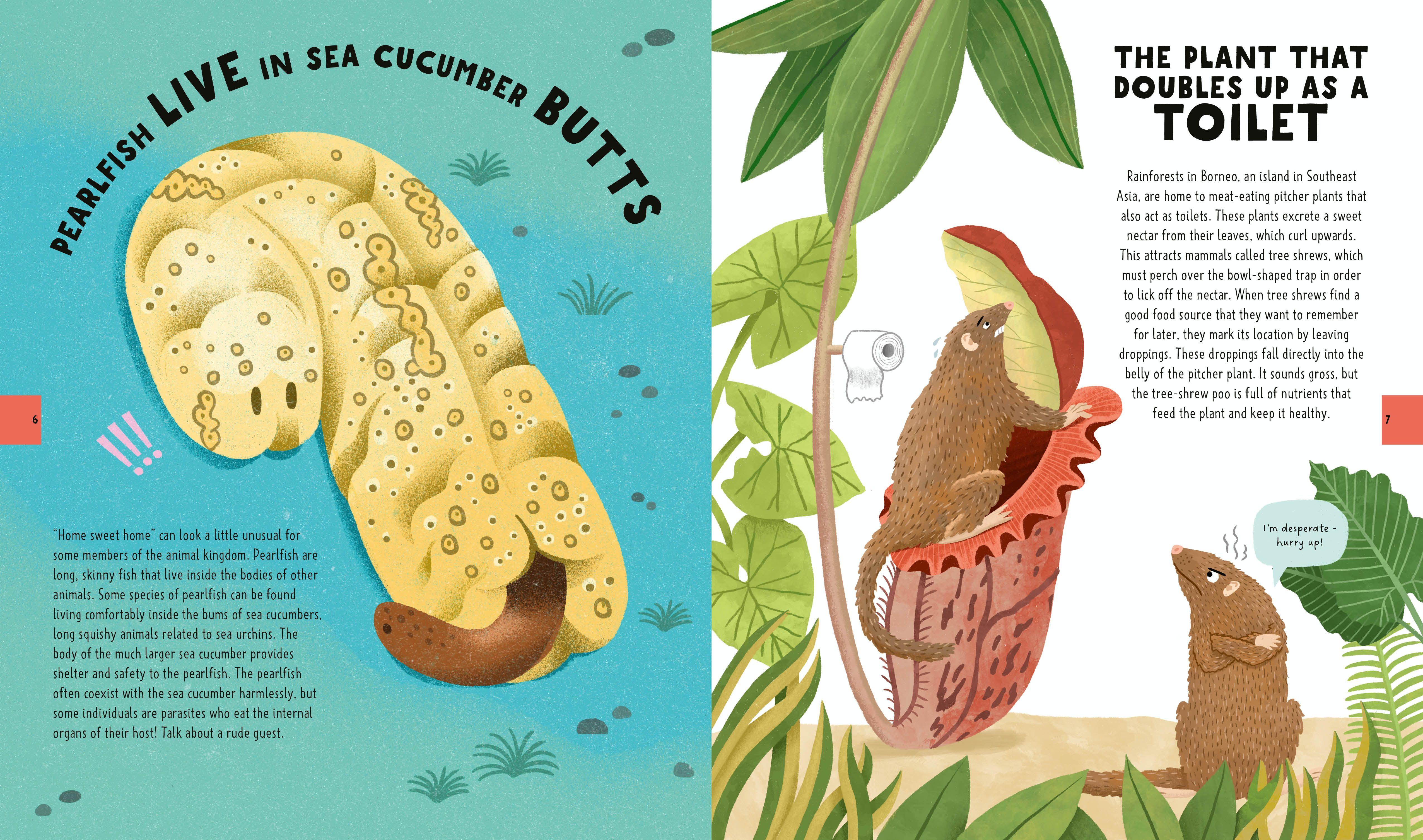 Beispielinhalt (Bild) The Big Book of Useless Science Knowledge