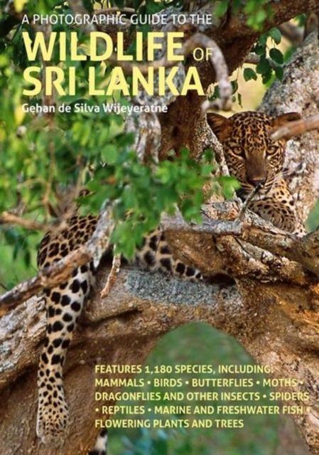 Vorderes Coverbild A Photographic Guide to the Wildlife of Sri Lanka