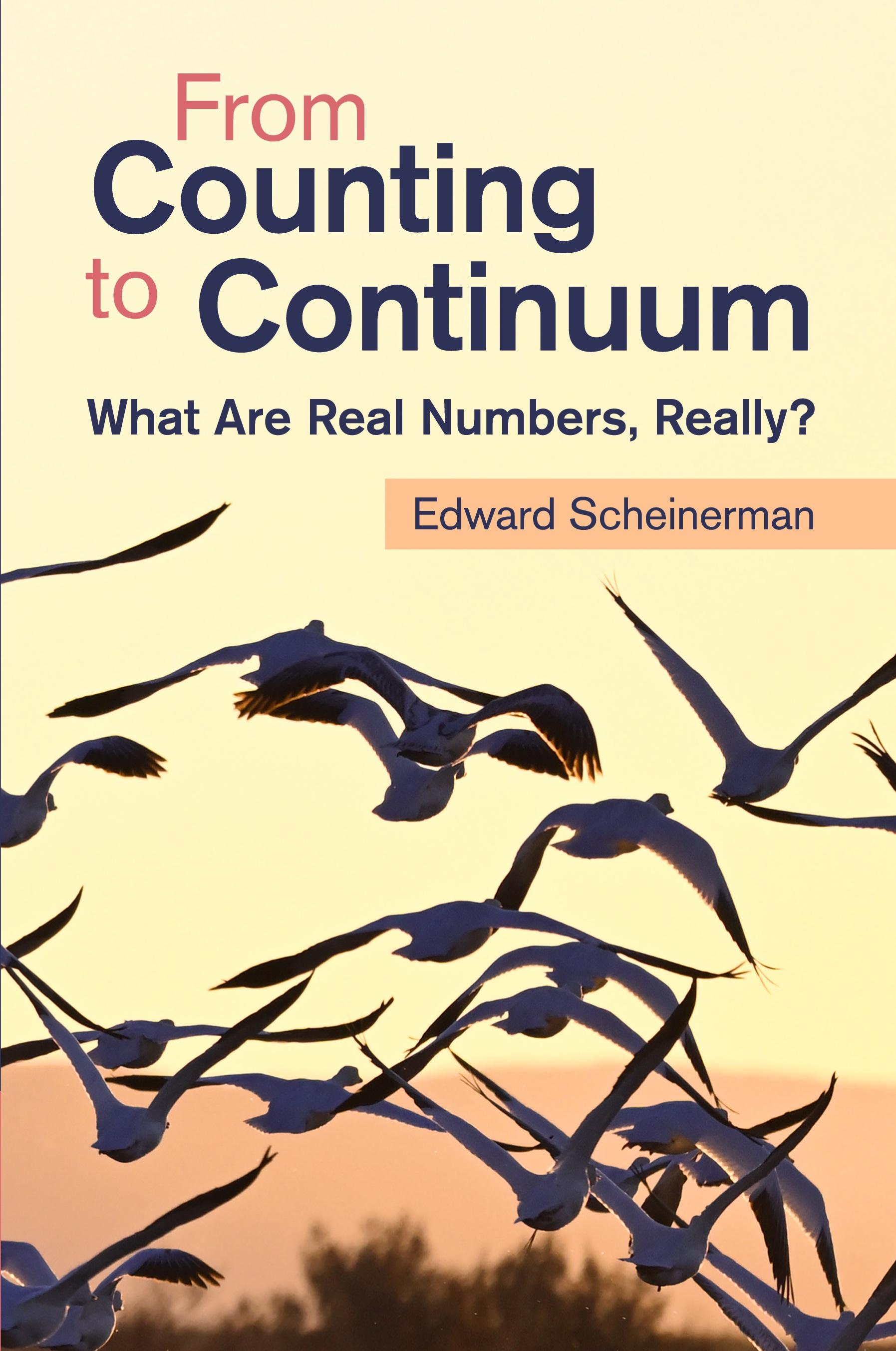 Vorderes Coverbild From Counting to Continuum