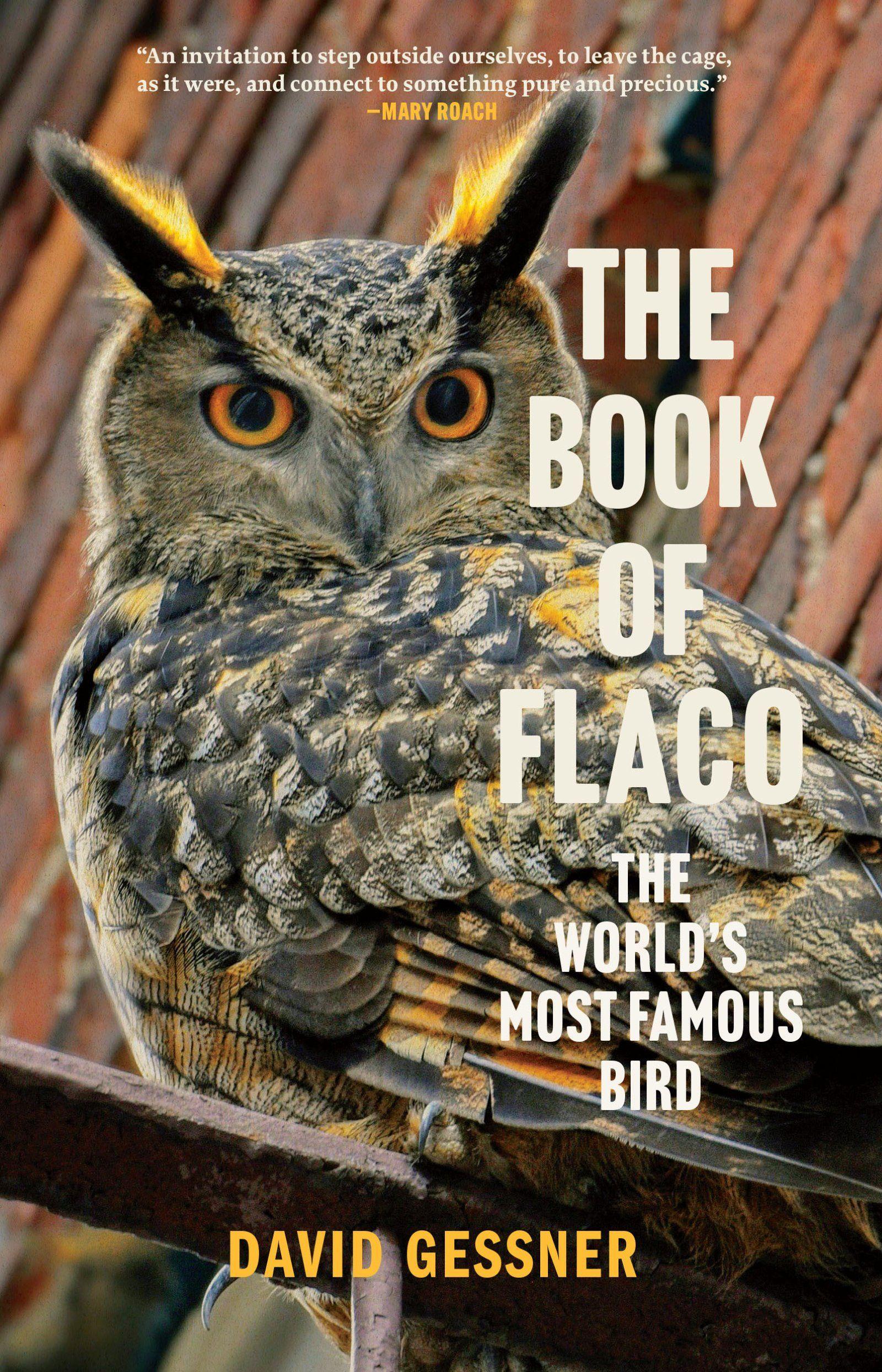 Vorderes Coverbild The Book of Flaco