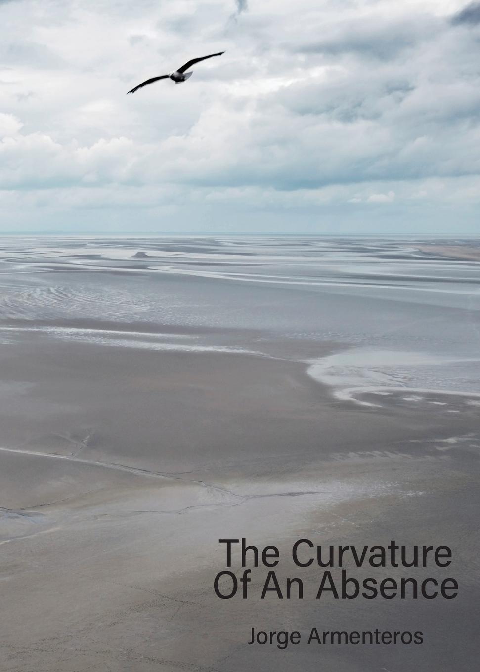 Vorderes Coverbild The Curvature of An Absence
