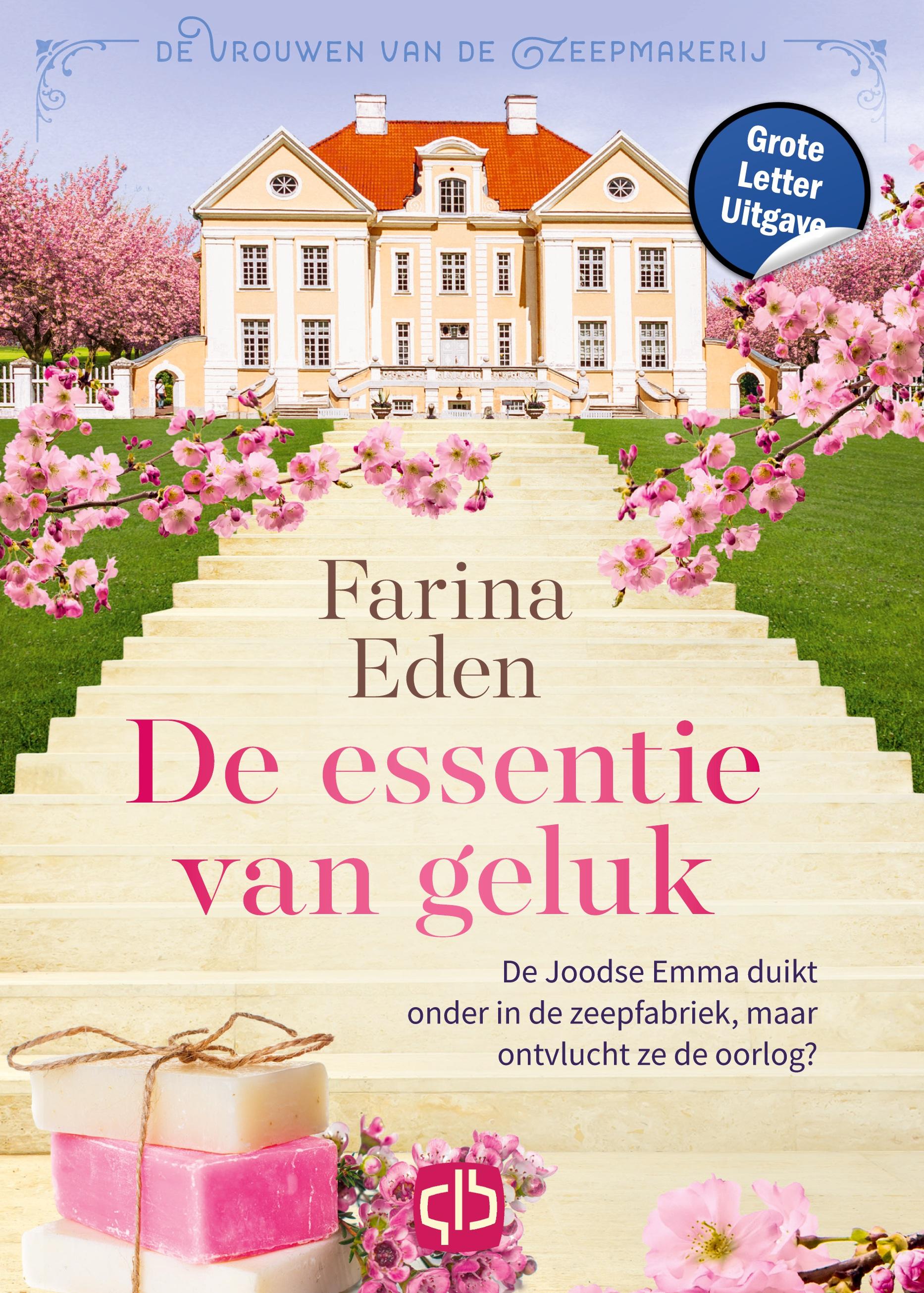 Vorderes Coverbild De essentie van geluk