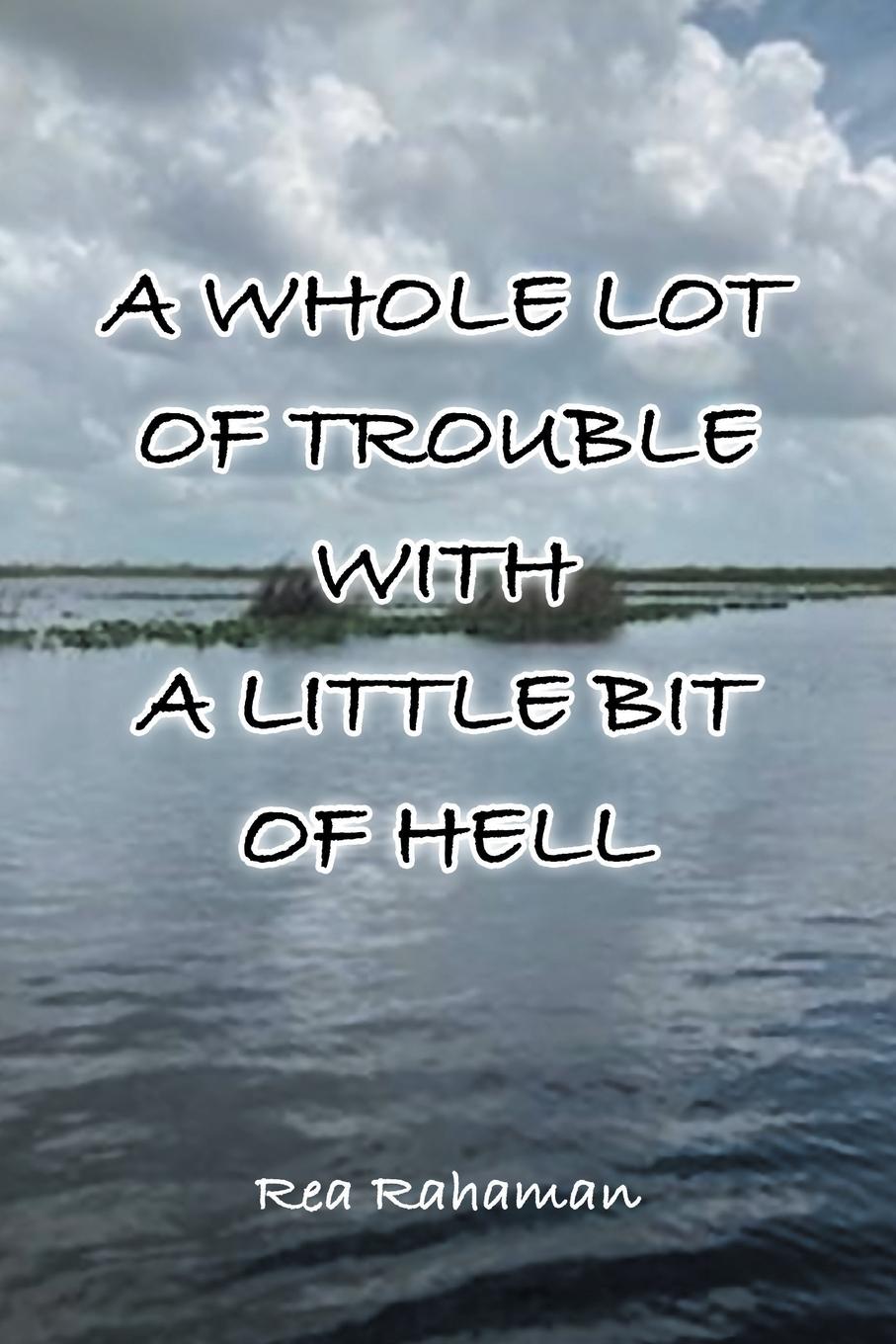 Vorderes Coverbild A Whole Lot of Trouble with a Little Bit of Hell