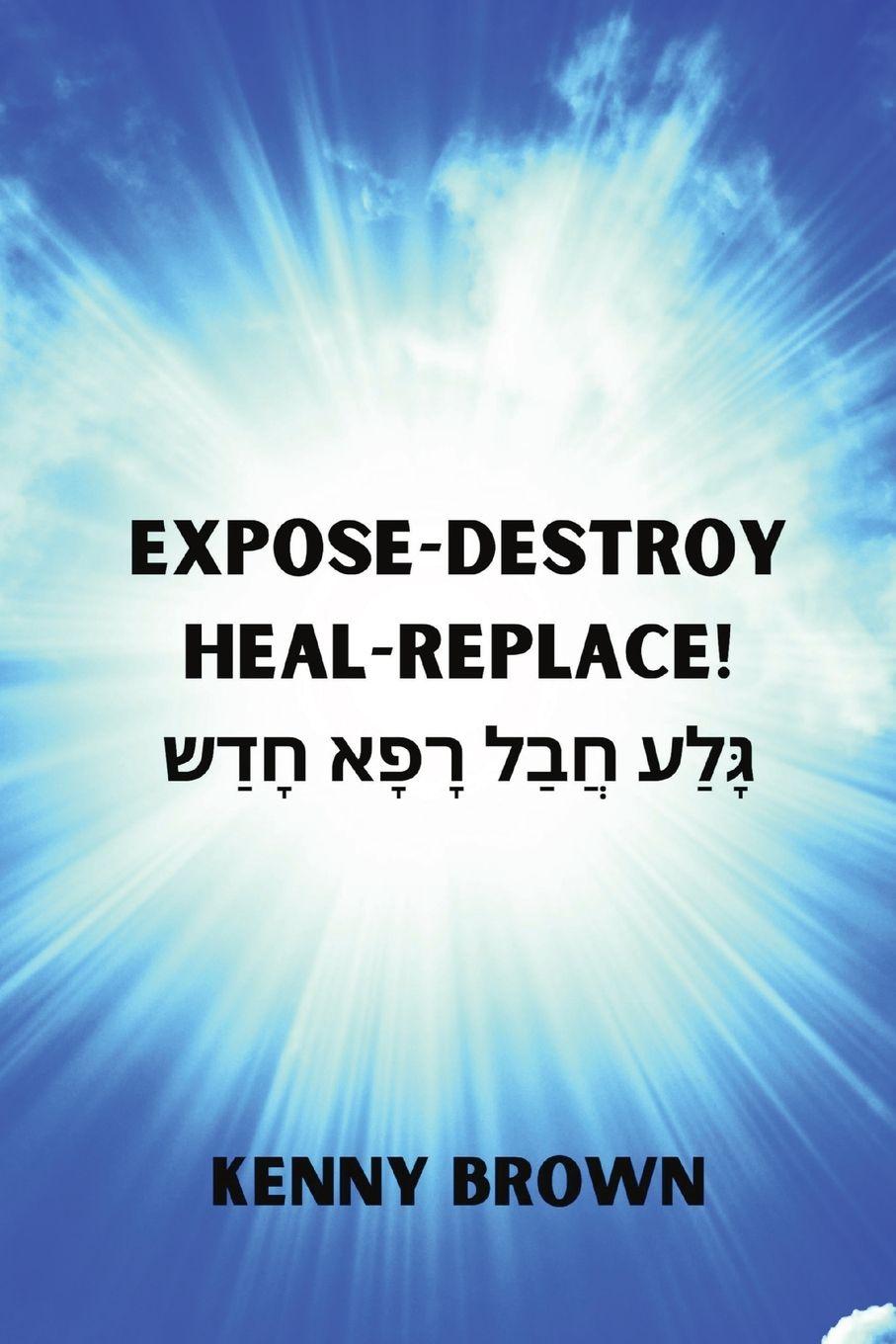 Vorderes Coverbild Expose- Destroy- Heal- Replace!