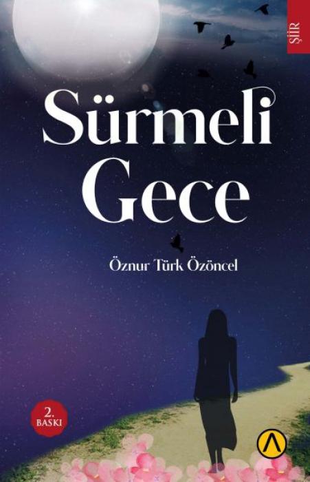 Vorderes Coverbild Sürmeli Gece