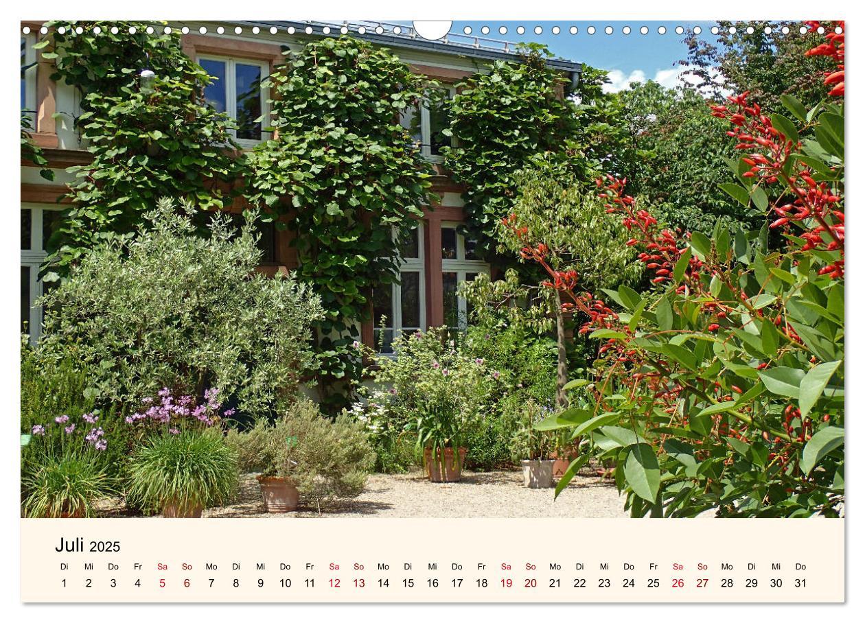Beispielinhalt (Bild) Der Hermannshof Sichtungsgarten in Weinheim an der Bergstraße (Wandkalender 2025 DIN A3 quer), CALVENDO Monatskalender