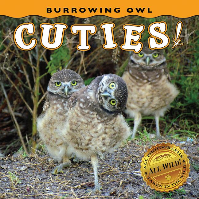 Vorderes Coverbild Burrowing Owl Cuties!