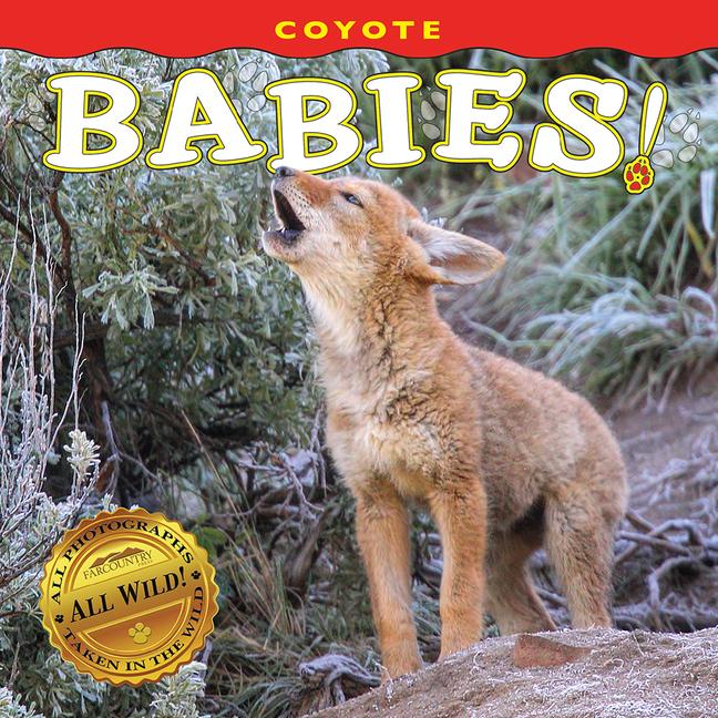Vorderes Coverbild Coyote Babies!