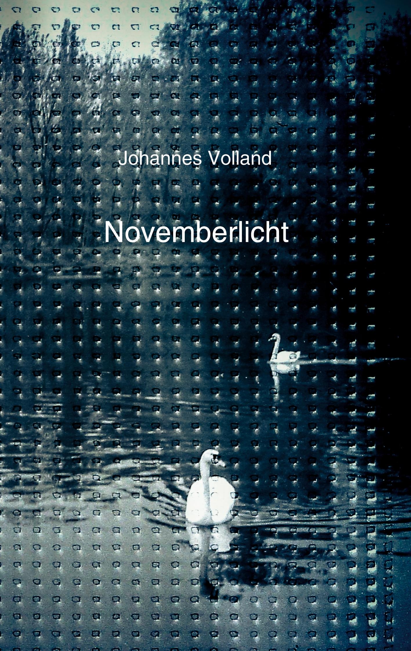 Vorderes Coverbild Novemberlicht