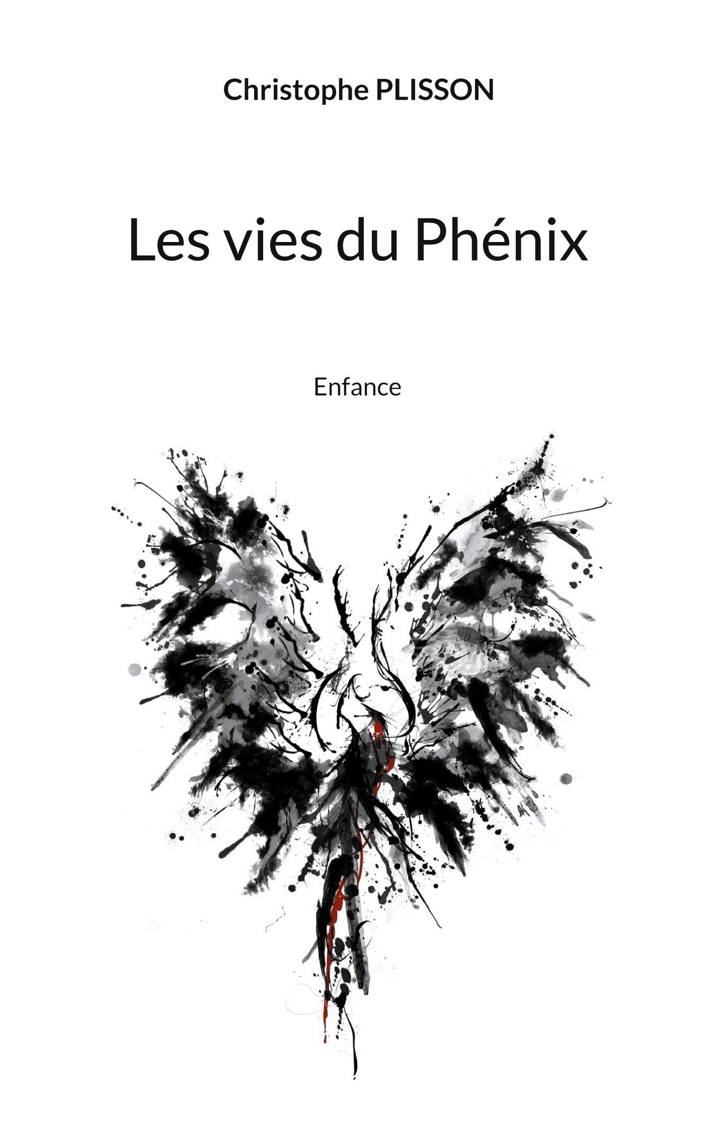Vorderes Coverbild Les vies du Phénix