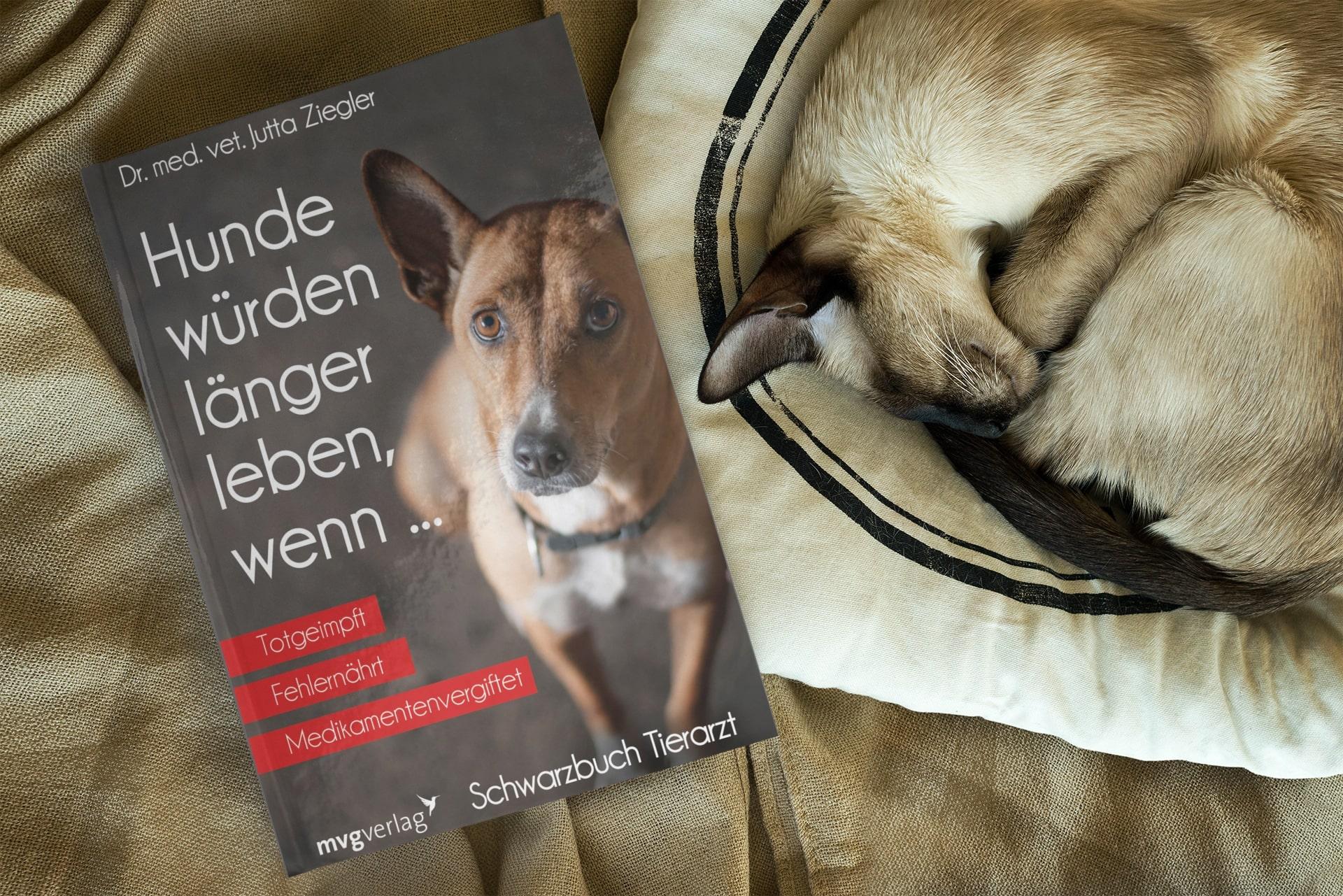 Beispielinhalt (Bild) Hunde würden länger leben, wenn ...