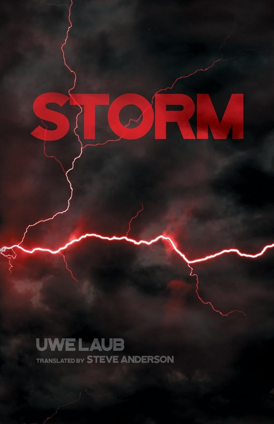 Vorderes Coverbild Storm