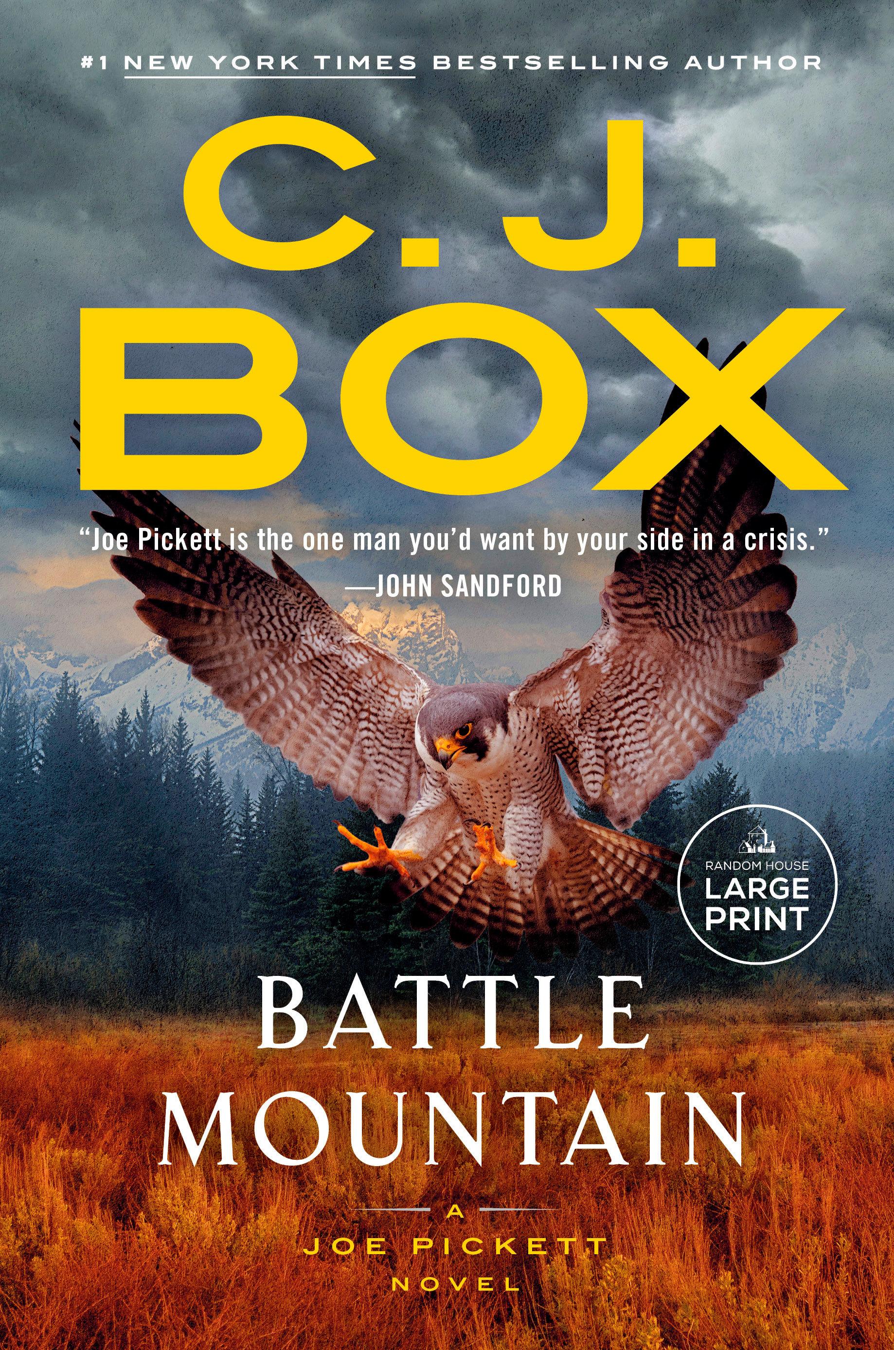 Vorderes Coverbild Battle Mountain