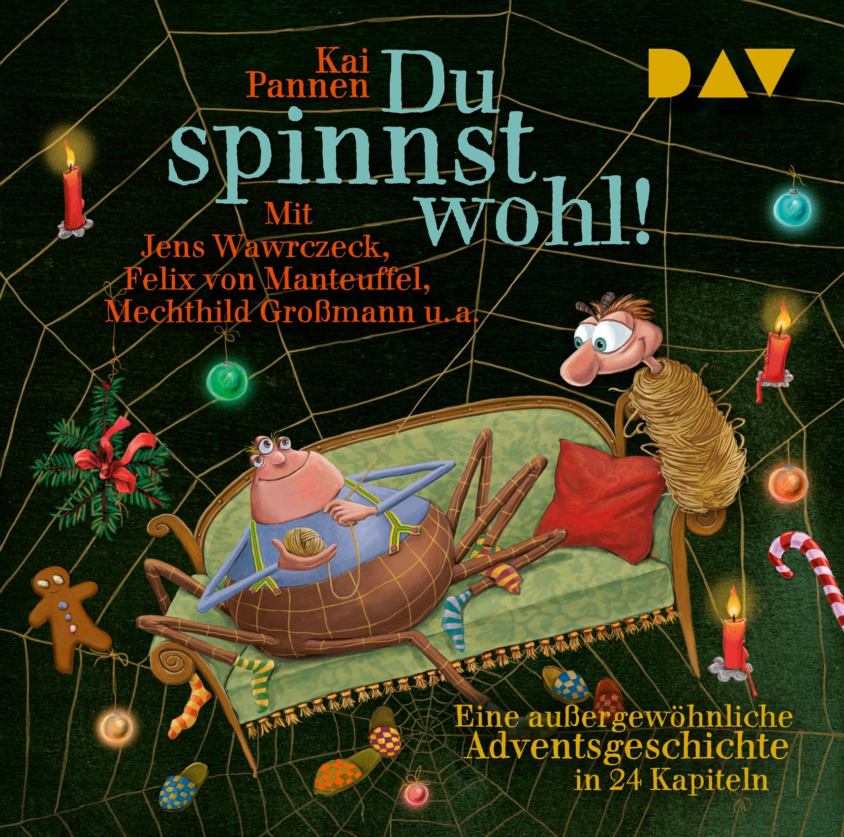 Vorderes Coverbild Du spinnst wohl! Eine außergewöhnliche Adventsgeschichte in 24 Kapiteln