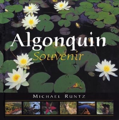 Vorderes Coverbild Algonquin Souvenir