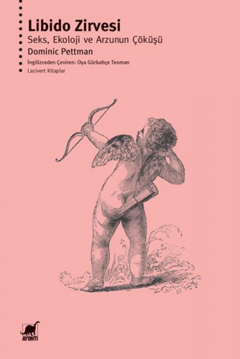 Vorderes Coverbild Libido Zirvesi