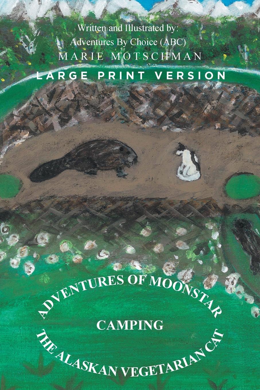 Vorderes Coverbild Adventures of Moonstar