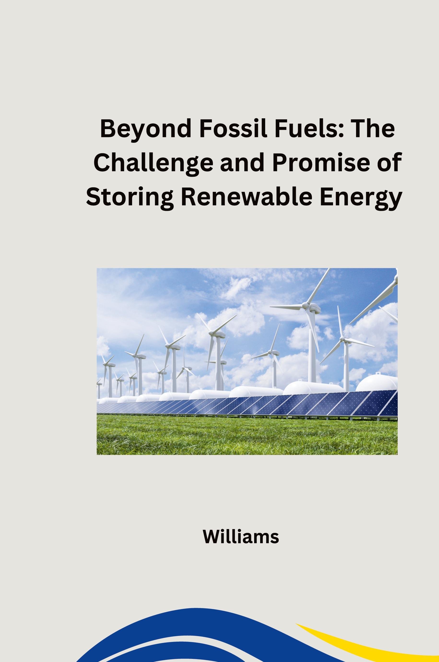 Vorderes Coverbild Beyond Fossil Fuels: The Challenge and Promise of Storing Renewable Energy