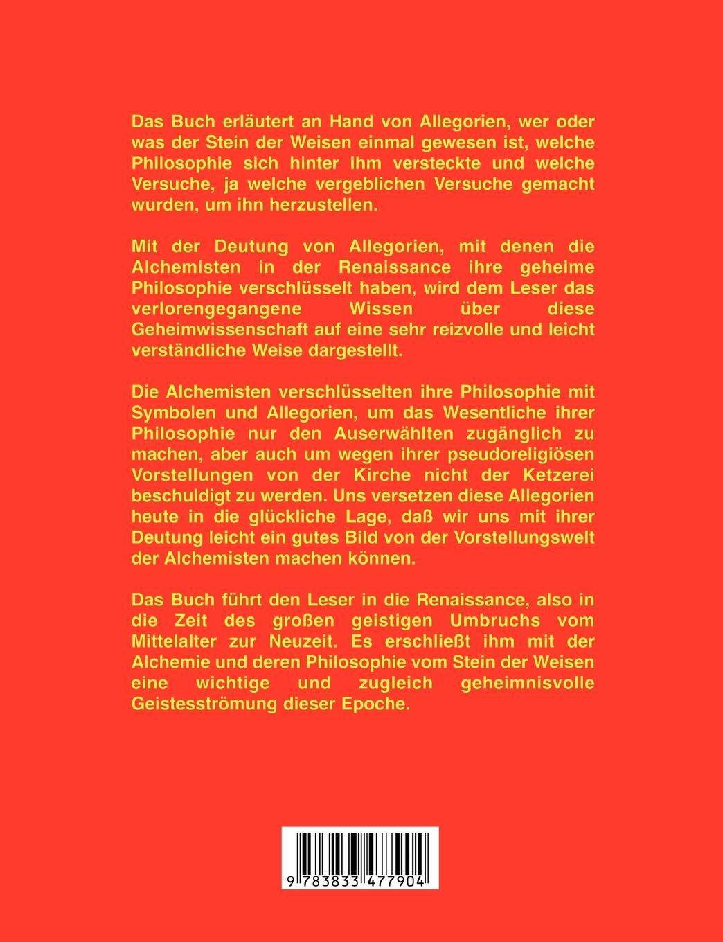 Rückseitencover Begegnung mit dem Stein der Weisen