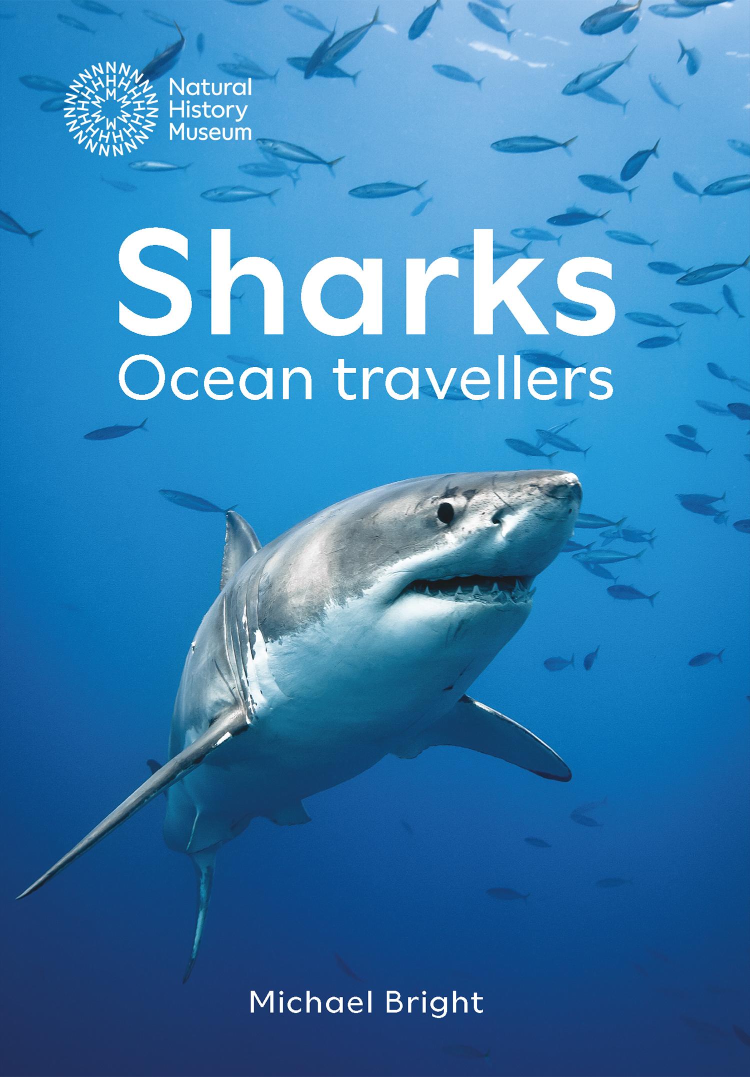 Vorderes Coverbild Sharks
