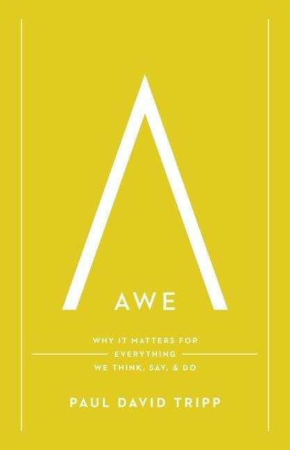 Vorderes Coverbild Awe