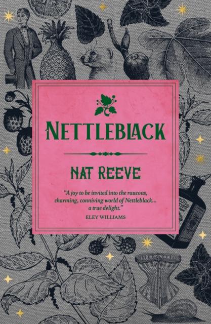 Vorderes Coverbild Nettleblack
