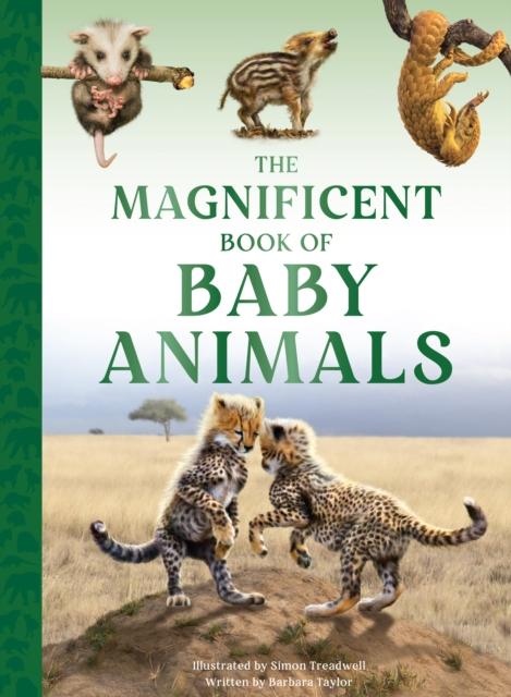 Vorderes Coverbild The Magnificent Book of Baby Animals