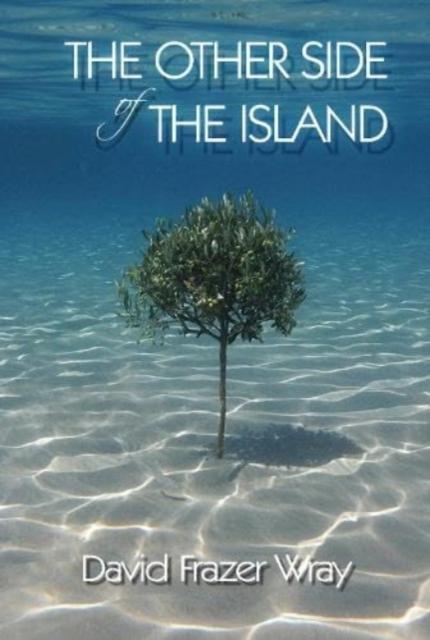 Vorderes Coverbild The Other Side Of The Island