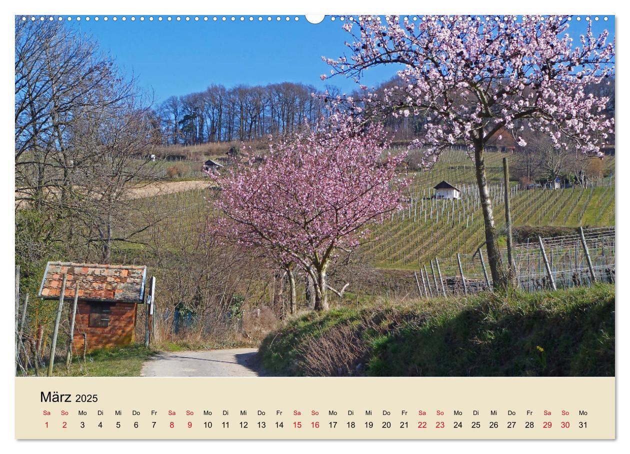 Beispielinhalt (Bild) Entlang der Bergstraße Burgen, Wein und Fachwerk (hochwertiger Premium Wandkalender 2025 DIN A2 quer), Kunstdruck in Hochglanz