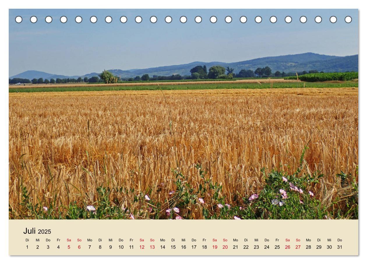 Beispielinhalt (Bild) Entlang der Bergstraße Burgen, Wein und Fachwerk (Tischkalender 2025 DIN A5 quer), CALVENDO Monatskalender