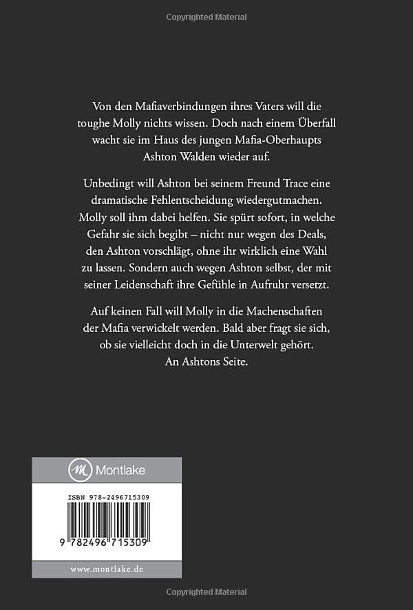 Rückseitencover Brisante Leidenschaft