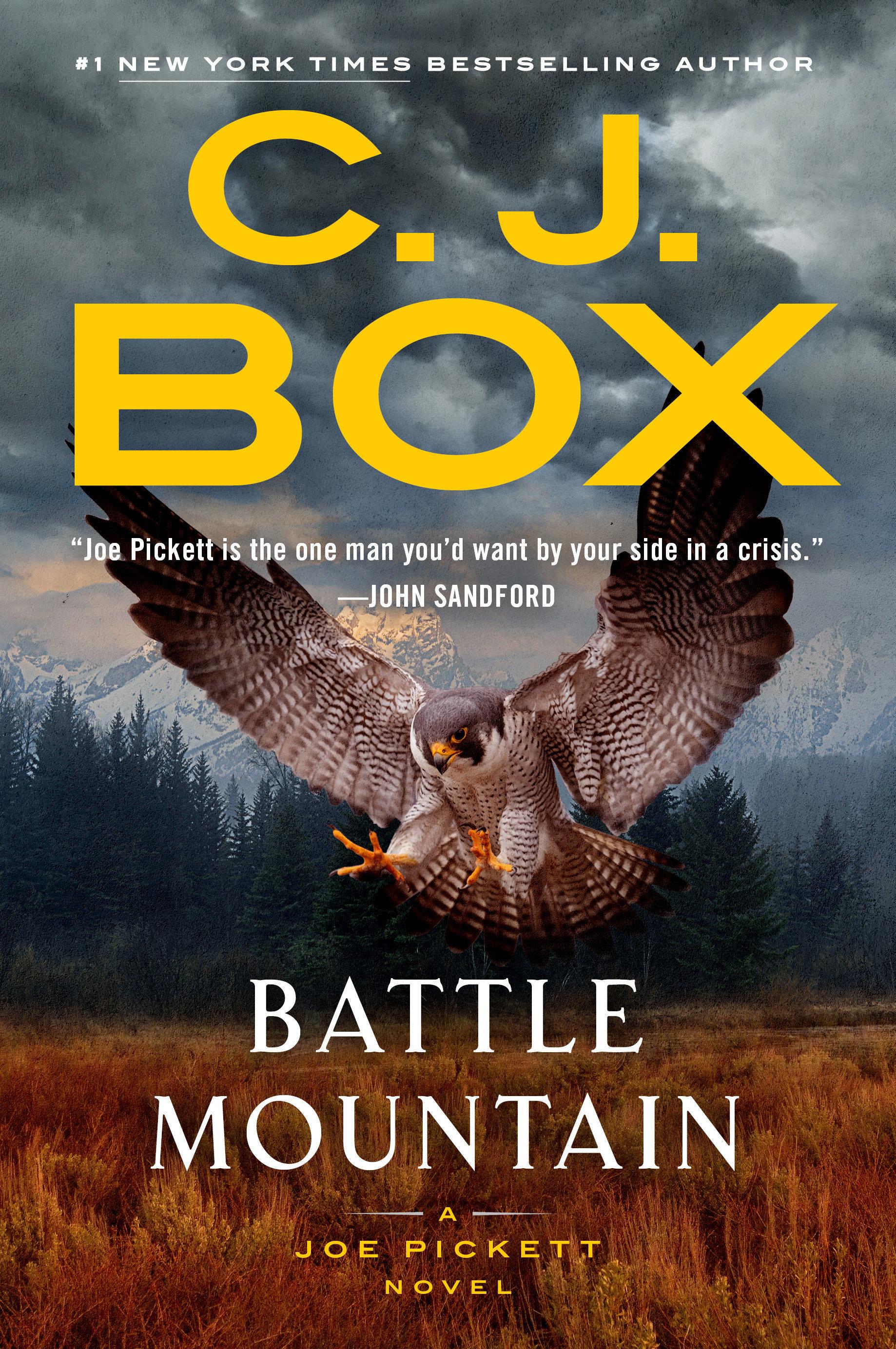 Vorderes Coverbild Battle Mountain