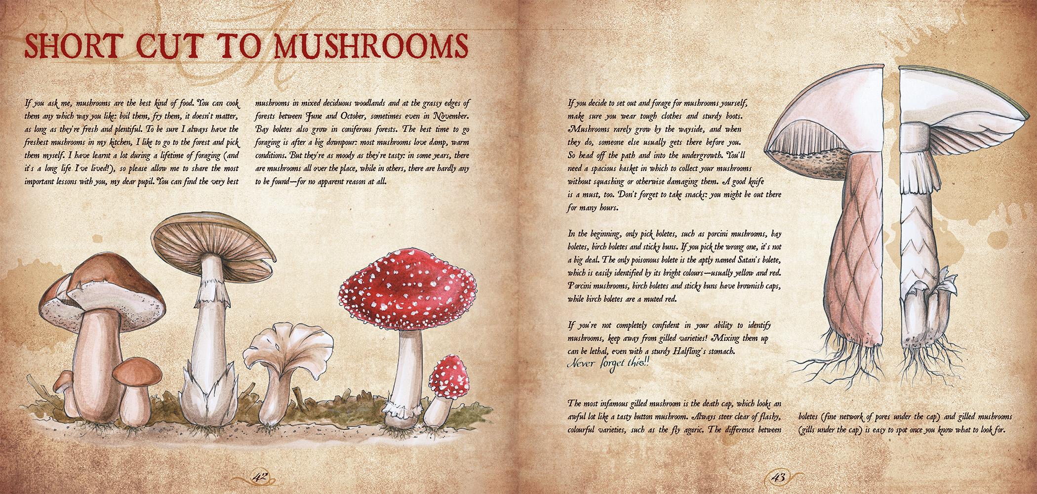 Beispielinhalt (Bild) Recipes from the Shirefolk