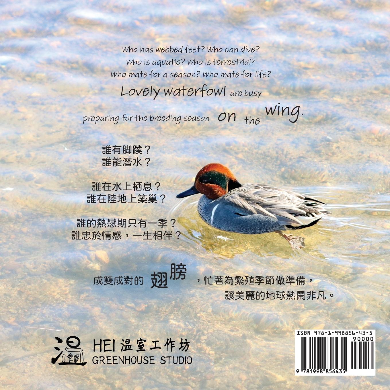 Rückseitencover On the Wing ¿¿ - North American Birds 5