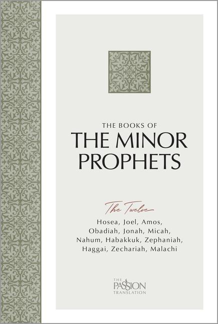 Vorderes Coverbild The Minor Prophets