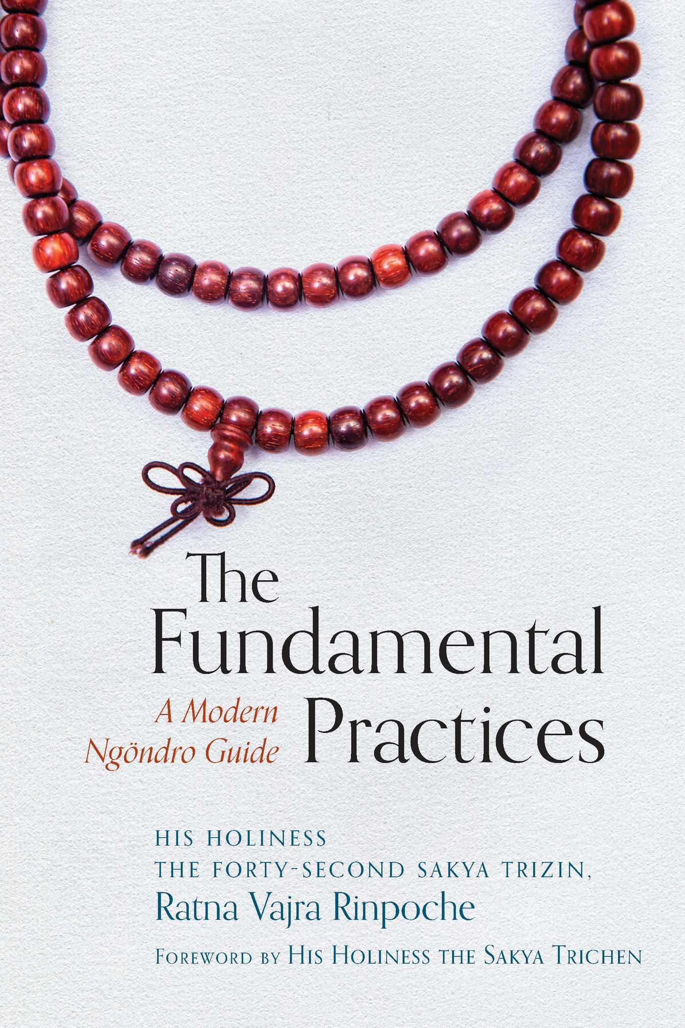 Vorderes Coverbild The Fundamental Practices